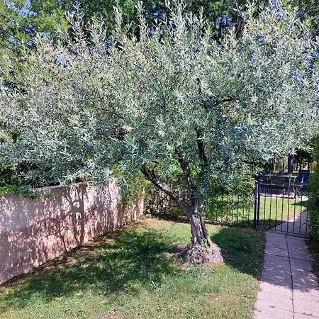 Soleil De Provence
