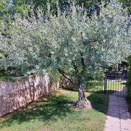 Soleil De Provence