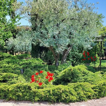 Soleil De Provence Villa *