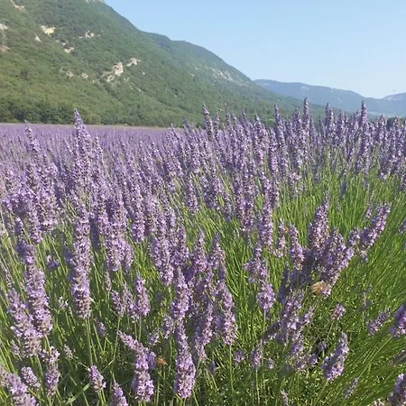 Soleil De Provence Βίλα Nyons