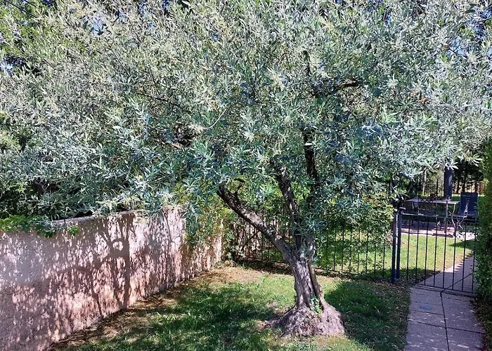 Soleil De Provence